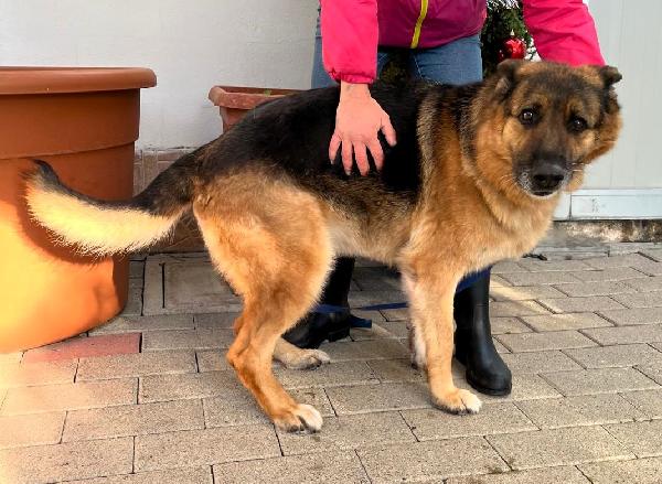 FEDERICA PASTORE TEDESCO Foto 9